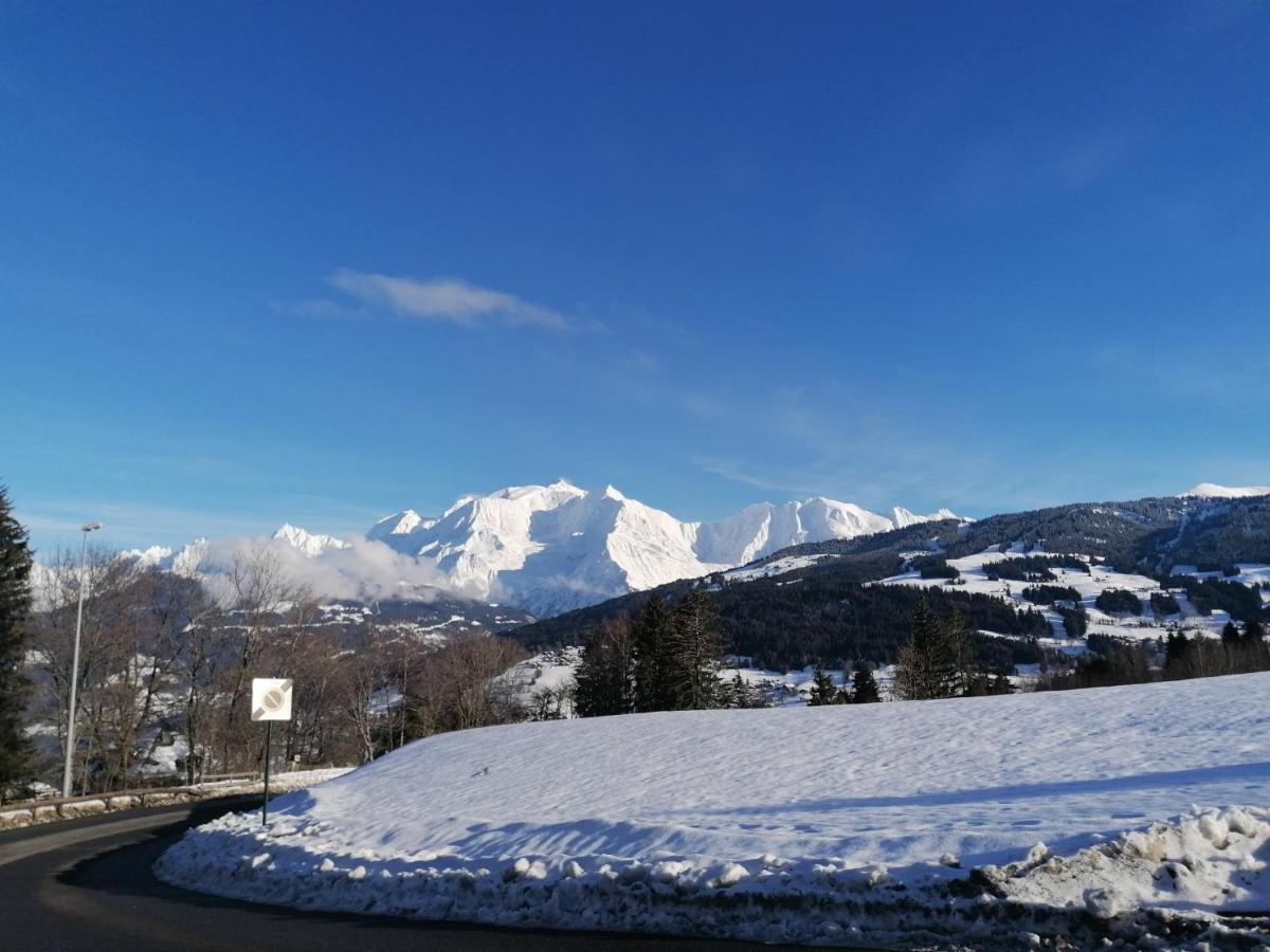 Chalet Mont-Blanc Combloux Kültér fotó